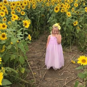 Cat and jack lilac ruffle tulle maxi